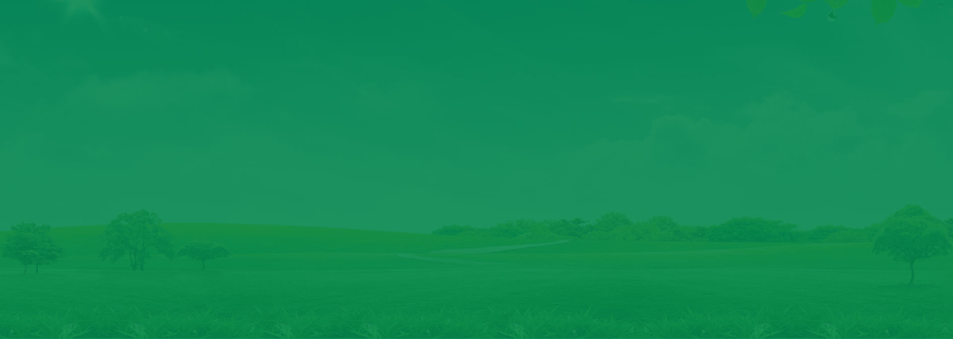 食品加工和包裝機械展覽會、包裝展、食品機械、包裝展、噴碼機、灌裝機、網帶、傳輸帶,青島食品機械展,藍博食品機械展,青島藍博國際會展有限公司,藍博會展